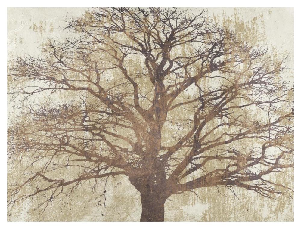 Sacred Oak-Paper Art-42,,X32,,