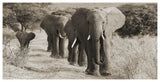 Herd Of African Elephants, Kenya-Paper Art-62,,X32,,