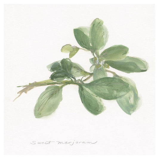 Sweet Marjoram -Paper Art-42X42