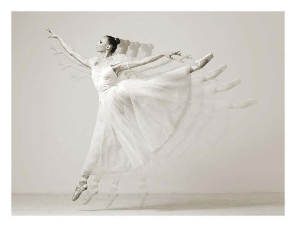 Leaping Beauty-Paper Art-26,,X20,,