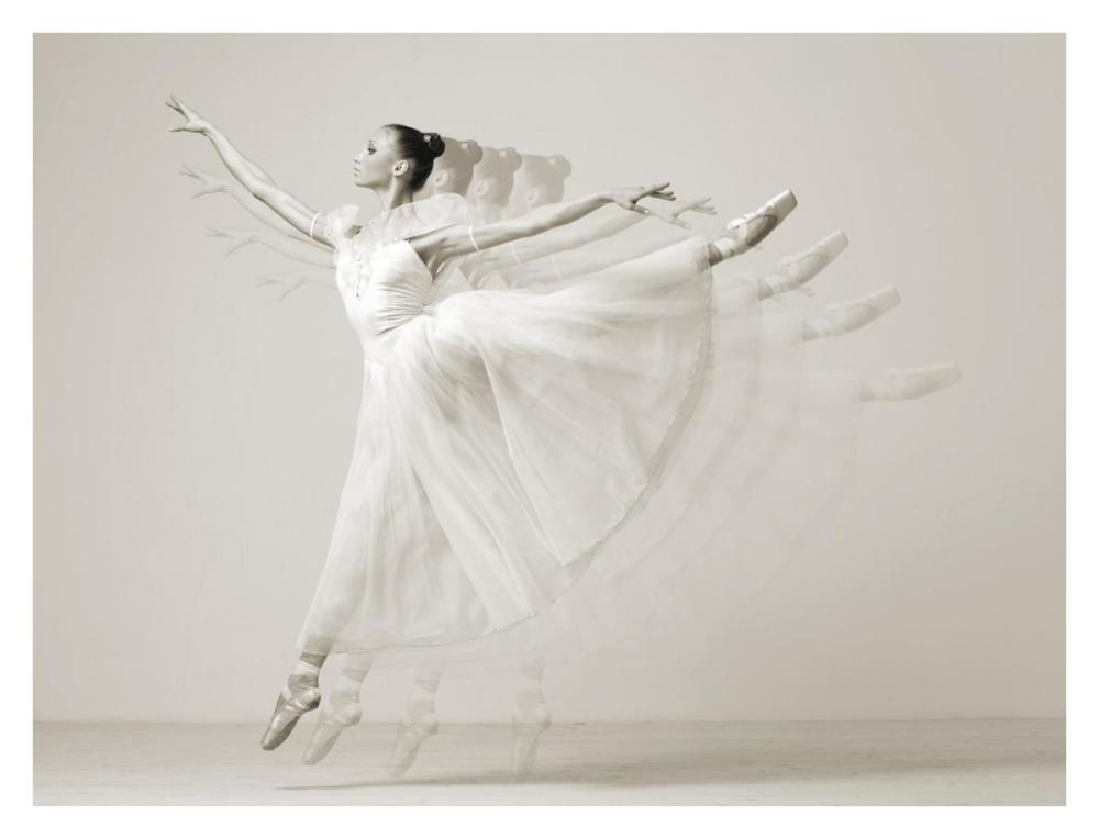Leaping Beauty-Paper Art-34,,X26,,