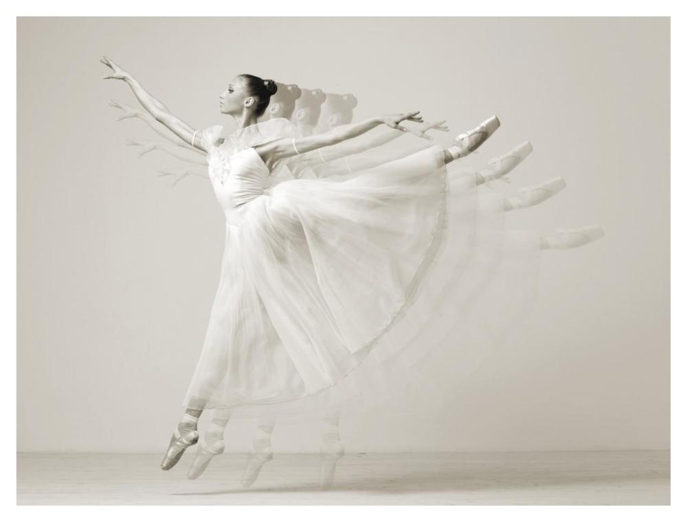 Leaping Beauty-Paper Art-42,,X32,,