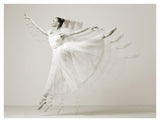 Leaping Beauty-Paper Art-42,,X32,,