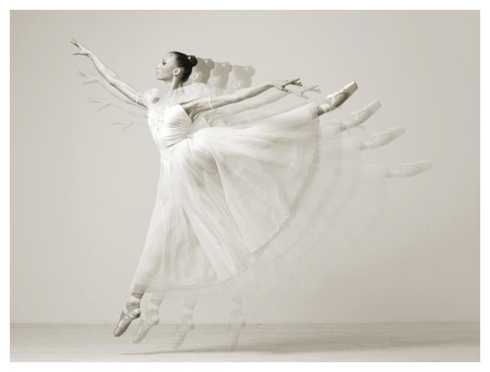 Leaping Beauty-Paper Art-50,,X38,,