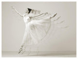 Leaping Beauty-Paper Art-50,,X38,,