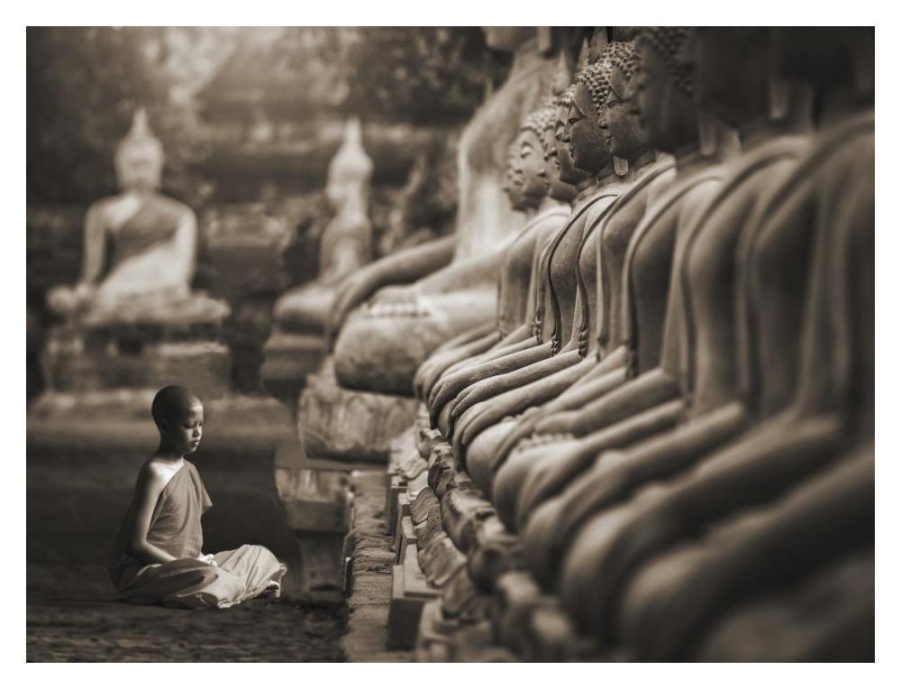 Young Buddhist Monk Praying, Thailand (Sepia)-Paper Art-18,,X14,,