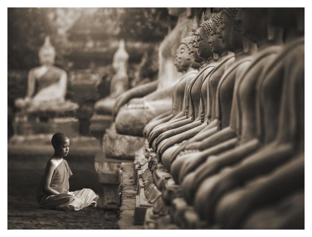 Young Buddhist Monk Praying, Thailand (Sepia)-Paper Art-42,,X32,,