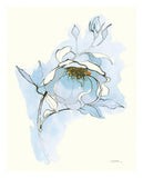 Carols Roses V Blue -Paper Art-22X26