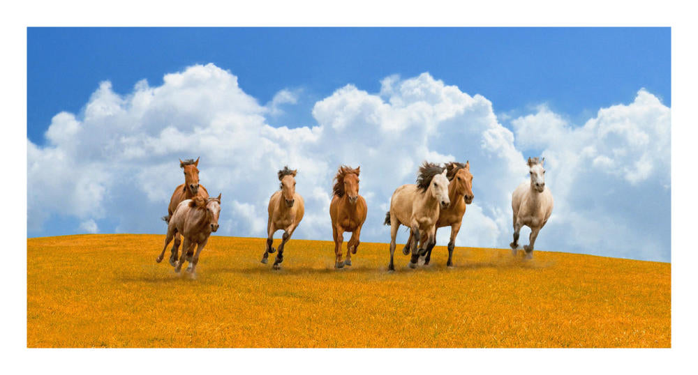 Herd Of Wild Horses-Paper Art-26,,X14,,