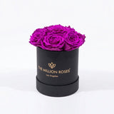 Essence Black Box | Bright Purple Roses
