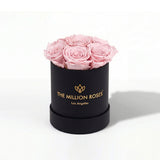 Essence Black Box | Light Pink Roses
