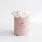 Essence Light Pink Suede Box | White Roses