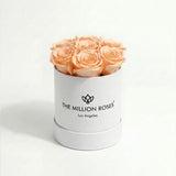 Essence White Box | Peach Roses