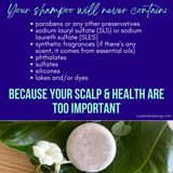Natural Shampoo Bar Eucalyptus & Lime Essential Oils with Noni