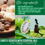 Natural Shampoo Bar Eucalyptus & Lime Essential Oils with Noni