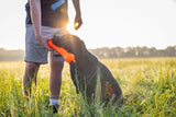 Barrows Training Bumper - Orange
