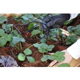 Palram Canopia HG1023 Greenhouse Irrigation Kit for all Palram Canopia Greenhouses