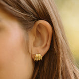 Gold Filled Scallop Earrings