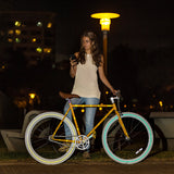 SHIOK - HONEYCOMB Frame Reflectives