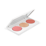 Midi Palette - Sitting Pretty