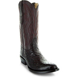 Men's Brown Ostrich Print Cowboy Boots (H7002)
