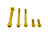 Talaria MX3/MX4 6-Piece Motor/Gearbox Titanium Kit