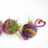 Tiered Air Plant Hanger Pattern