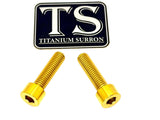 Titanium Caliper Bolts - Surron Ultra Bee Front Only