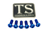 Titanium Front Rotor Bolts - E-Moto
