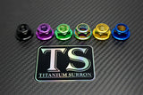 M8 Titanium Grade 5 DIN 6923 Hex Flange Nut