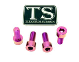 Titanium Peg Bracket Bolts - E-moto