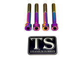 Titanium Stem Bolt Kit Altis Sigma (4 pcs)