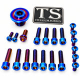 Titanium Surron Ultra Bee OEM Fork Bolt Kit