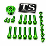 Titanium Surron Ultra Bee OEM Fork Bolt Kit