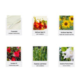 Tsubaki Facial Cleansing Balm