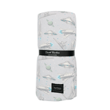 Up And Away Big Kid Cloud Blanket